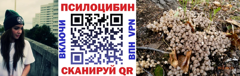 как найти закладки  Покровск  Псилоцибиновые грибы MAGIC MUSHROOMS 